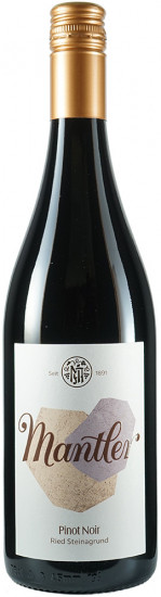 2022 PINOT NOIR Ried Steinagrund trocken - Weingut Mantler