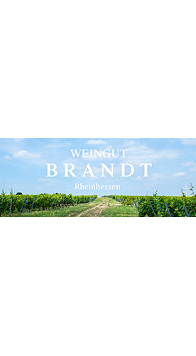 2016 Hesslocher Pinot Noir Rotwein trocken - Weingut Brandt