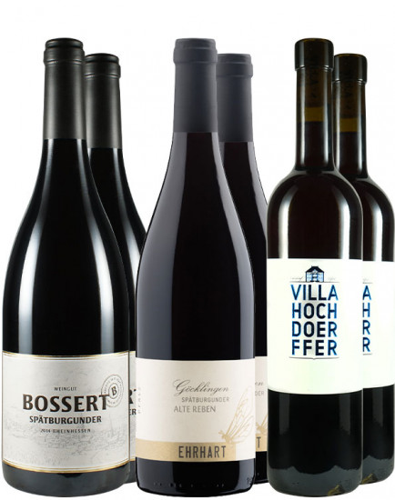 Unsere Spätburgunder Favoriten - Paket
