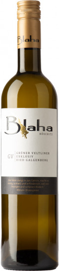 2024 Grüner Veltliner 