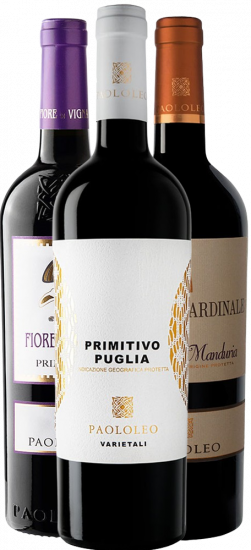 Primitivo Kennenlern-Paket - Cantine Paololeo