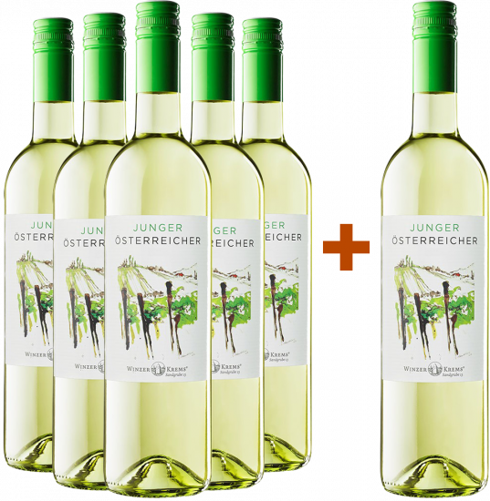 5+1 JUNGER ÖSTERREICHER trocken - Winzer Krems