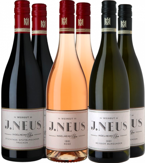 Kennenlern-Paket Weingut J.Neus - Weingut J. Neus