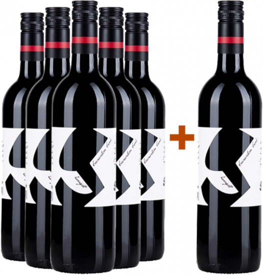 5+1 Paket Zweigelt Rubin Carnuntum DAC trocken Bio - Weingut Glatzer