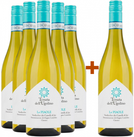 5+1 Paket Le Piaole Verdicchio dei Castelli di Jesi Classico Bio - Tenuta dell'Ugolino