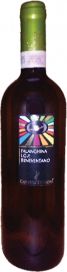 Falanghina Beneventano IGP trocken - Cantina Tizzano