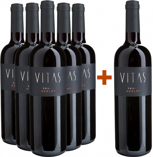 5+1 Merlot Friuli DOC - Villa Vitas