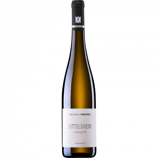 2021 Dittelsheim Grauburgunder trocken - Weingut Winter