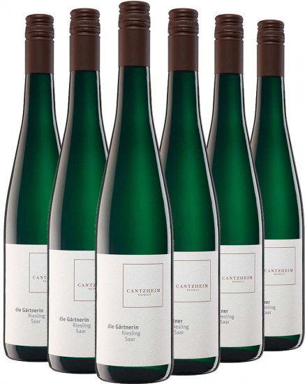 Weingut Cantzheim Riesling-Paket - Weingut Cantzheim