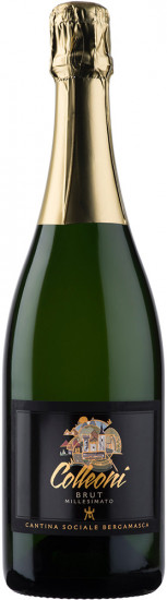 Brut Metodo Classico Terre Del Colleoni DOC brut - Cantina Sociale Bergamasca