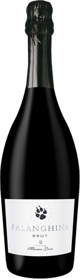 2023 Falanghina Sparkling brut - Cantine Massimo Leone