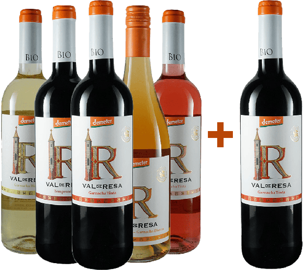 Kennenlernpaket 5+1 Navarrsotillo Bio - Navarrsotillo Biodynamic & Organic Wines