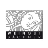 2014 Riesling trocken - Weingut Bächner