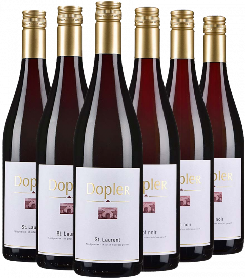 Dopler Kennenlern-Paket - Weingut Dopler