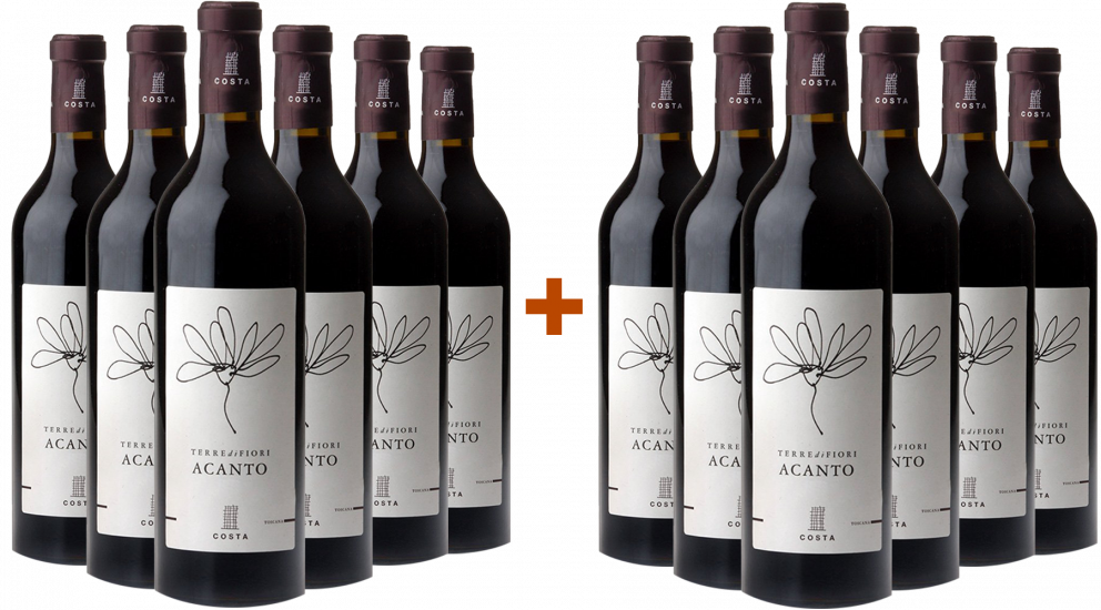 6+6 Paket Terredifiori Acanto Toscana IGP - Tenute Costa