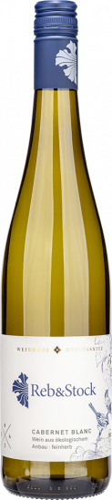 2024 Reb&Stock Cabernet blanc feinherb Bio - Weingut Hoflößnitz