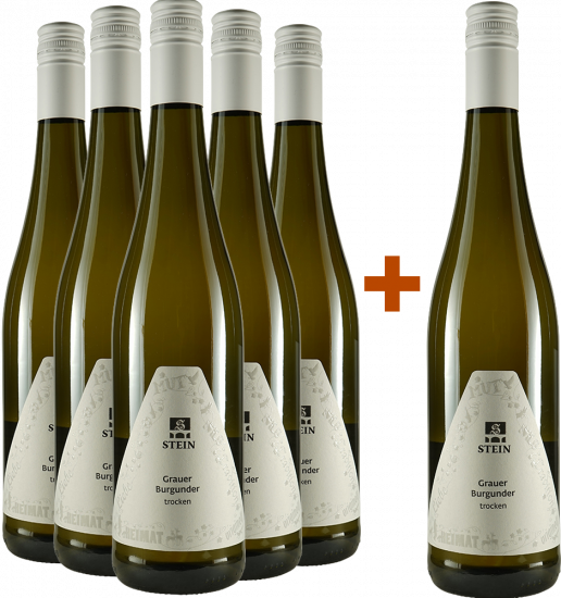 5+1 2025 Grauer Burgunder Paket - Weingut Karl Stein