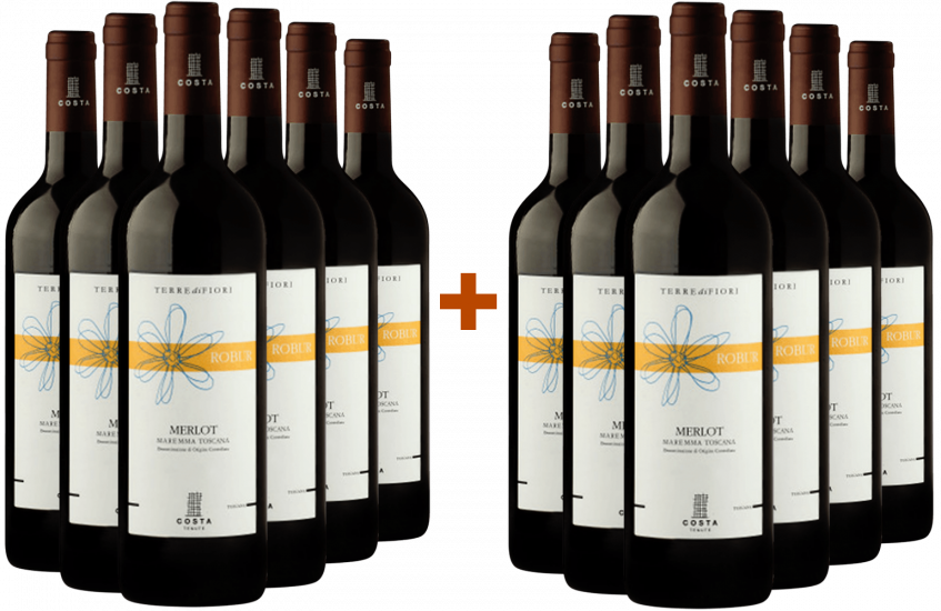 6+6 Paket Robur Merlot Toscana IGP - Tenute Costa