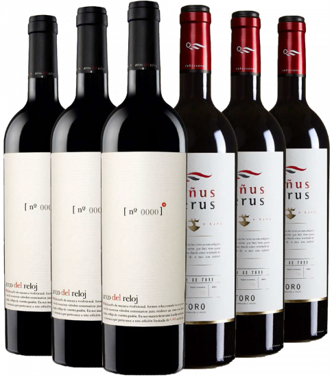 Kennenlernpaket Bodegas Covitoro Toro DO - Bodegas Covitoro