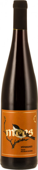 2023 SPÄTBURGUNDER ROTWEIN ROSENBERG trocken - Weingut Mees