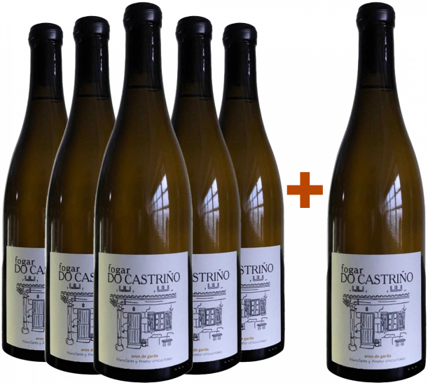Pack Descuento 5+1 Nanclares Fogar do Castriño Rías Baixas DO - Alberto Nanclares