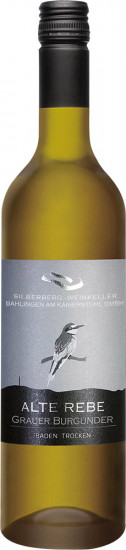 2021 Silberberg Weinkeller Grauer Burgunder „Alte Reben“ trocken - Winzergenossenschaft Schliengen-Müllheim
