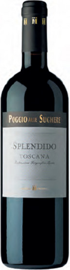 2015 Splendido Toscana IGT trocken - Lionello Marchesi