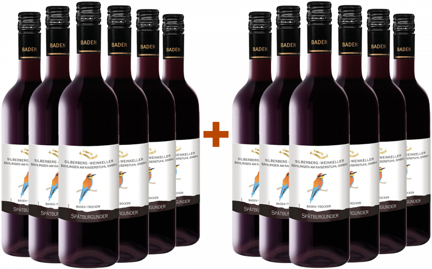 6+6 2021 Silberberg Weinkeller Spätburgunder trocken - Winzergenossenschaft Schliengen-Müllheim
