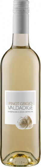 2022 Pinot Grigio Valdadige DOC - 