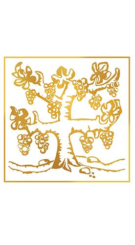 2025 Muskateller lieblich - Weingut Trautwein