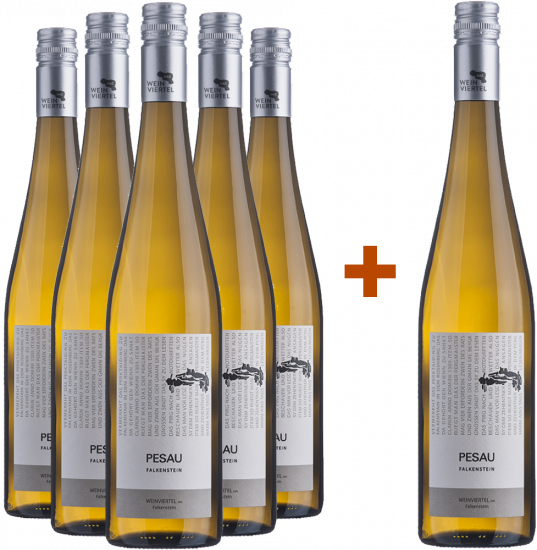 5+1 Paket Weinviertel DAC Grüner Veltliner Falkenstein Bio - Weingut Pesau