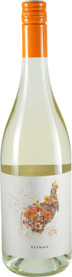 2024 Weißer Tribus halbtrocken Bio - Weingut Baier