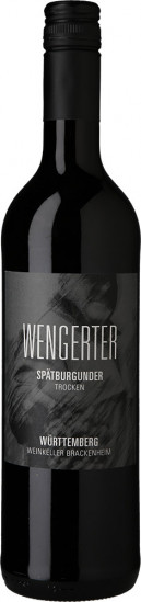 Wengerter Spätburgunder trocken Paket + Gratis 4er Set Schott Zwiesel PURE Rotweingläser