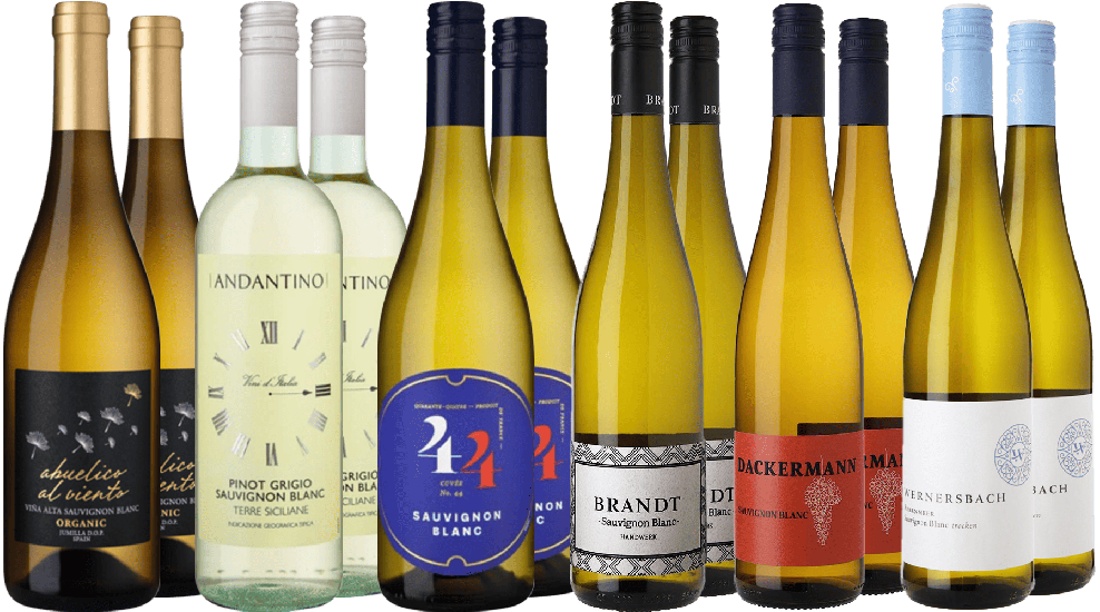 Großes Sauvignon Blanc Reise - WirWinzer Spezial