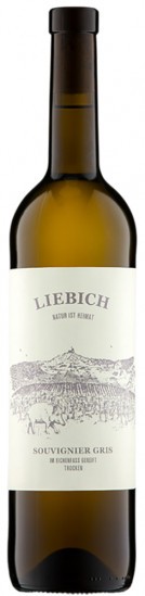 2019 Souvignier Gris 