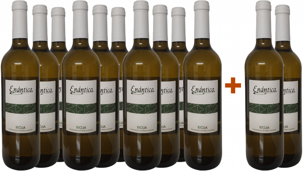 10+2 Aktionspaket Enántico Blanco Viura Rioja DOCa - Viñedos y Bodegas Lyng