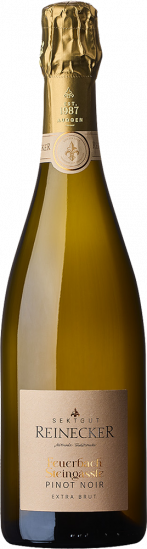 2021 „Feuerbach Steingässle“ Pinot Noir extra brut - Privat-Sektkellerei Reinecker