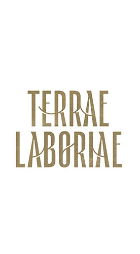 2023 TELI Barbera Sannio DOC trocken - Terrae Laboriae