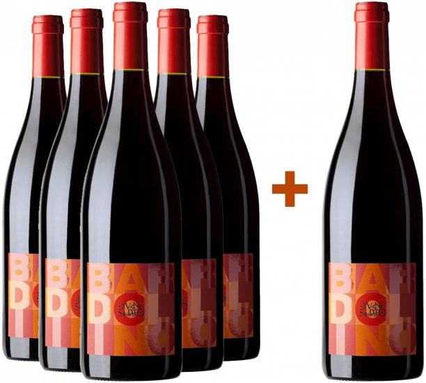 5+1 Paket Bardolino DOC - Le Vigne di San Pietro