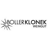 2019 Regent trocken - Weingut Boller Klonek