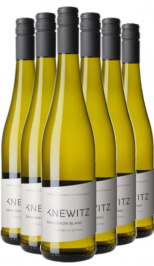 Rheinblick Sauvignon Blanc-Paket - Weingut Knewitz