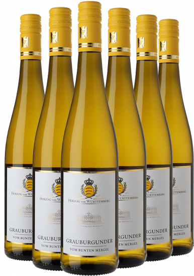 VDP Grauburgunder-Paket - Weingut Herzog von Württemberg