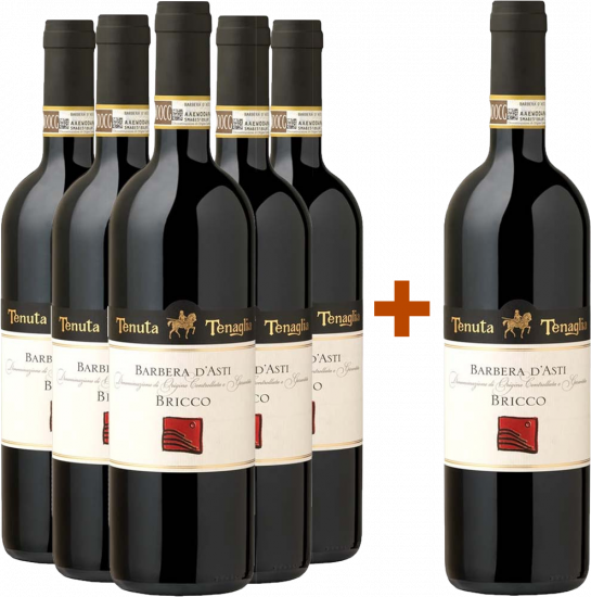5+1 Paket Bricco Barbera d'Asti DOCG trocken - Tenuta Tenaglia