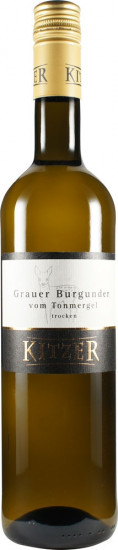 2022 Grauer Burgunder vom Tonmergel trocken - Weingut Kitzer