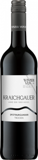2024 Spätburgunder Kraichgauer trocken - Winzer von Baden