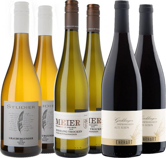 Winzerempfehlungen aus der Pfalz Paket