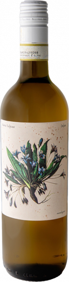 2024 Delyus - Romagna Albana Secco DOCG trocken Bio - Marta Valpiani