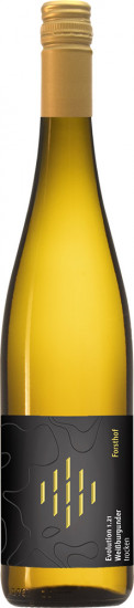 2022 Evolution 1.22 Weißburgunder trocken Bio - Weingut Forsthof