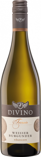 2024 DIVINO Terroir Nordheimer Vögelein Weisser Burgunder trocken - Divino eG