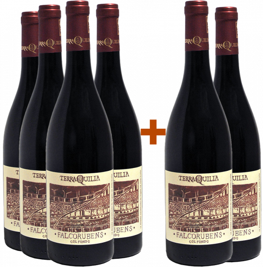 4+2 Paket Falcorubens col fondo Emilia IGP BIO Bio - TerraQuilia